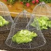 Chicken Wire Cloche -Plant Care Shop 8590210 2408 wire cloche colonial tin works tif