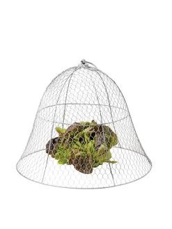 Chicken Wire Cloche -Plant Care Shop 8590210 675 tif