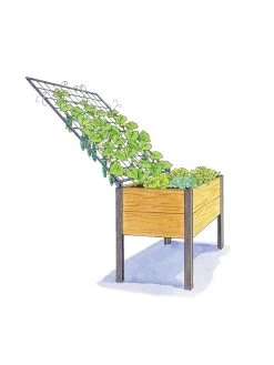 Space-Maker Pivoting Trellis, 4' -Plant Care Shop 8590247 SMTrellis 4ft tif