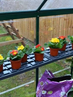 Canopia® By Palram Shelf Kit For Greenhouses, Set Of 2 Shelves 14 Canopia® By Palram Shelf Kit For Greenhouses, Set Of 2 Shelves -Plant Care Shop 8591033 09V jpg