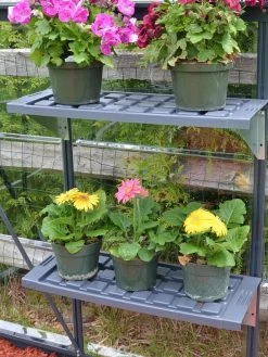 Canopia® By Palram Shelf Kit For Greenhouses, Set Of 2 Shelves 15 Canopia® By Palram Shelf Kit For Greenhouses, Set Of 2 Shelves -Plant Care Shop 8591033 11V jpg