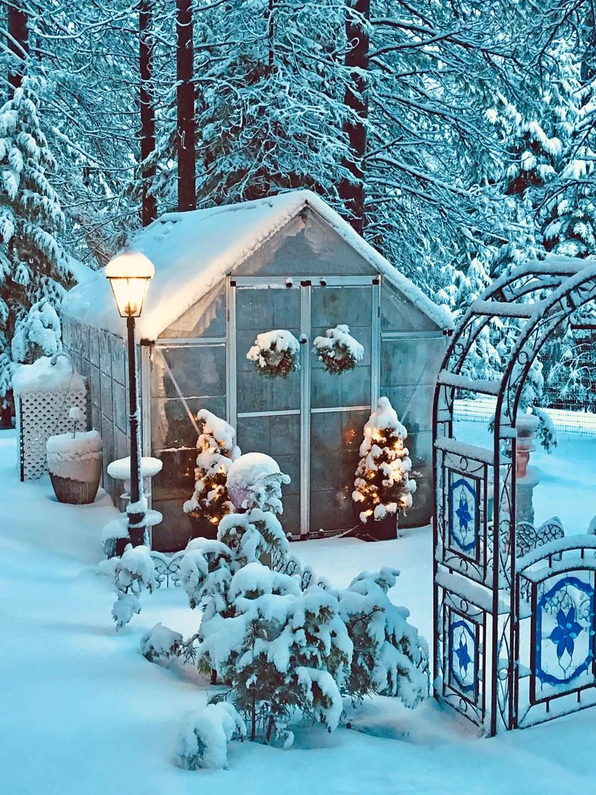 Canopia® By Palram Harmony™ Snap & Grow Greenhouse, 8' 18 Canopia® By Palram Harmony™ Snap & Grow Greenhouse, 8' - Image 16