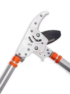 Telescoping Ratchet Loppers -Plant Care Shop 8591285 025 tif