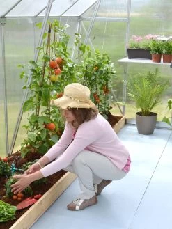 Canopia® By Palram Essence™ Greenhouse, 8' X 12' -Plant Care Shop 8591356 04V tif