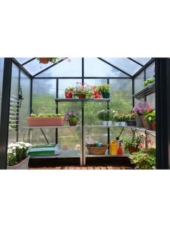 Canopia® By Palram Glory™ Greenhouse, 8' -Plant Care Shop 8591547 02v