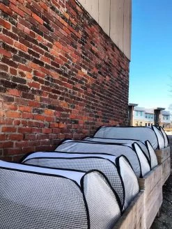 Row Shelter Accelerator -Plant Care Shop 8591990 01IN tif