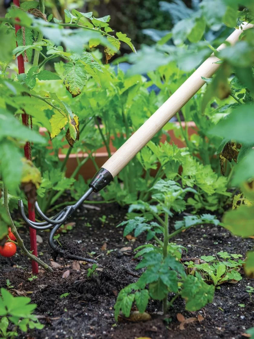 Gardener's Lifetime Long-Handled Double Tool 3 Gardener's Lifetime Long-Handled Double Tool