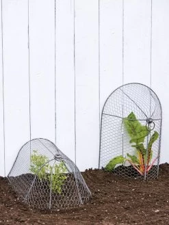 3-in-1 Chicken Wire Cloche 11 3-in-1 Chicken Wire Cloche -Plant Care Shop 8592117 0188 tif