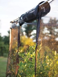 Storm Proof Crop Cage, Large -Plant Care Shop 8592463 115 tif