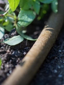 Premium 1/2" Soaker Hose -Plant Care Shop 8592730 4933 tif