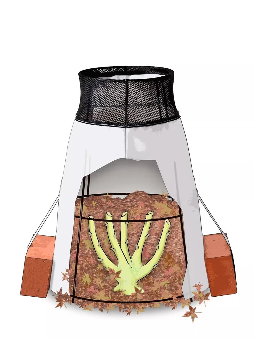 Rosy Cozy® Rose Cone, Large 3 Rosy Cozy® Rose Cone, Large