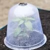 Large Garden Cloches, Set Of 3 -Plant Care Shop 8593984 345 tif