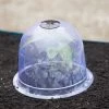 Medium Garden Cloches, Set Of 6 -Plant Care Shop 8593985 347 tif