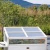 Cold Frame For Compact VegTrug® -Plant Care Shop 8594059 1038 tif