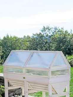 Cold Frame For VegTrug® -Plant Care Shop 8594064 1244 tif
