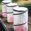 Tomato TLC Kits, Set Of 3 -Plant Care Shop 8594214 0183 tif