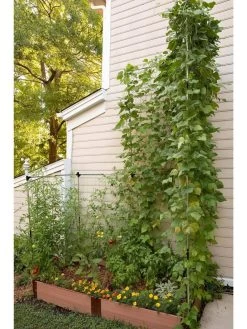 Stack & Extend Veggie Wall 9 Stack & Extend Veggie Wall -Plant Care Shop 8595683 07V 3 4