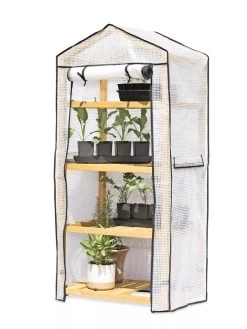 VegTrug® Patio Greenhouse -Plant Care Shop 8595803 7136 tif