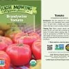 Brandywine Tomato Organic Seeds -Plant Care Shop 8596098 001V Brandywine Tomato tif