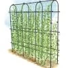 Titan Pea Tunnel -Plant Care Shop 8596275 0002 1 tif