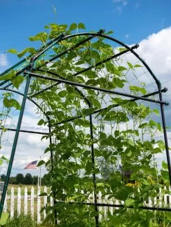 Titan Squash Tunnel -Plant Care Shop 8596276 0122 tif