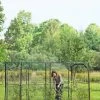 Crop Cage, 4' X 12' 2 Crop Cage, 4' X 12' -Plant Care Shop 8596540 9838 1 large fruit crop cage 4 foot x 12 foot tif