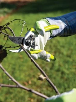 Gardener's Pro Pruner #2 -Plant Care Shop 8596605 032 tif