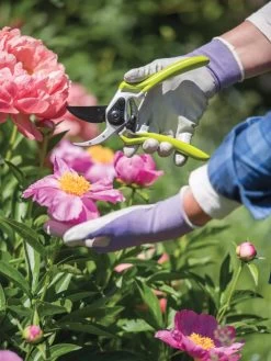 Gardener's Pro Pruner #2 -Plant Care Shop 8596605 1261 tif