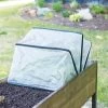 Pop-Up Crop Protector -Plant Care Shop 8596763 17310 tif