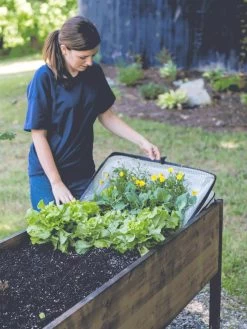 Pop-Up Crop Protector -Plant Care Shop 8596763 EasyCropProtector gif