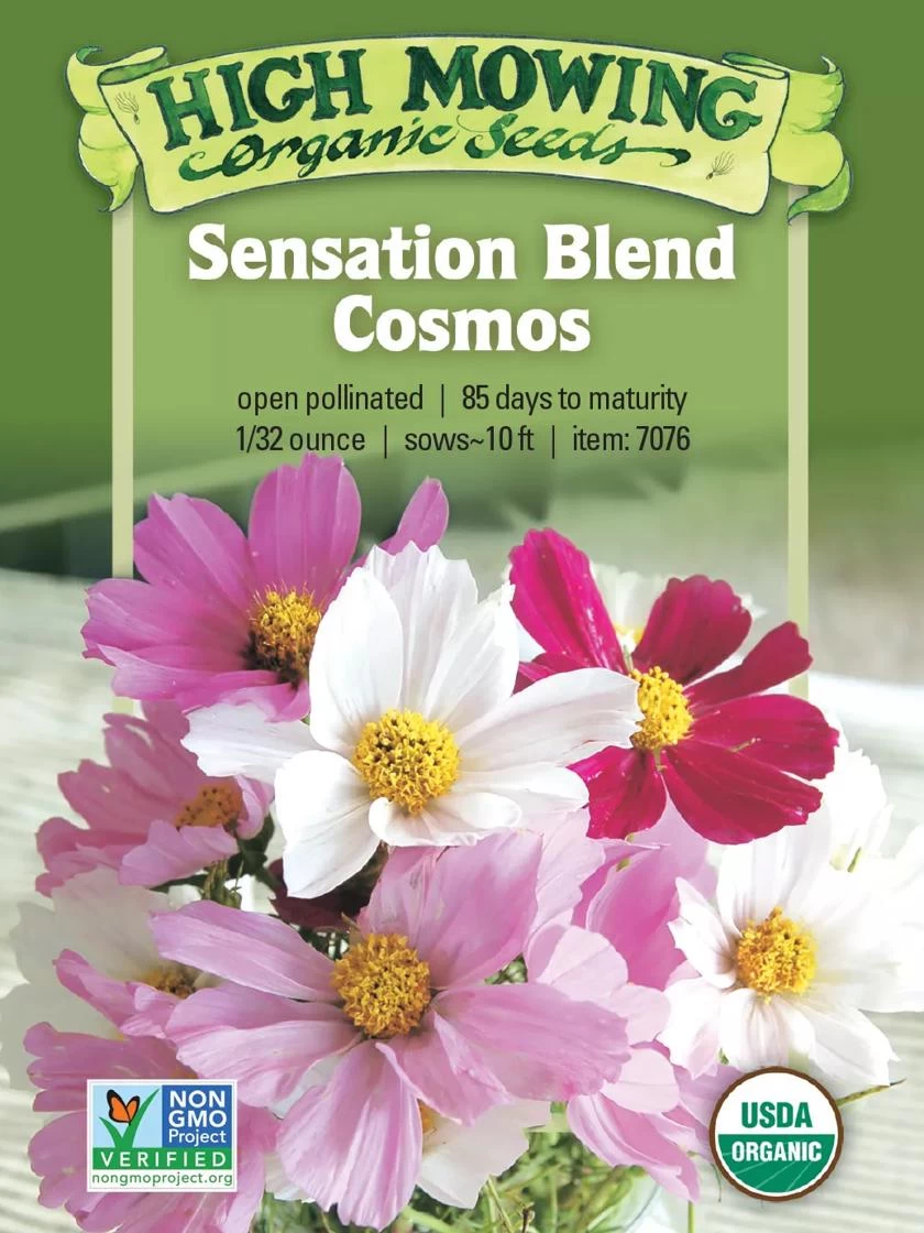Sensation Blend Cosmos Organic Seeds 3 Sensation Blend Cosmos Organic Seeds