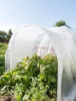 Super Hoop Bases, Set Of 6 9 Super Hoop Bases, Set Of 6 -Plant Care Shop 8598301 0591 tif