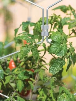 Gardener's Vertex Lifetime Tomato Cage -Plant Care Shop 8598426 0011 tif