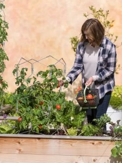 Gardener's Vertex Lifetime Tomato Cage -Plant Care Shop 8598426 0026 tif