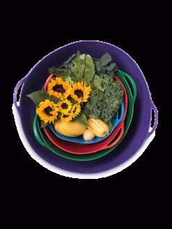 Colorful Tubtrug, 7 Gallon -Plant Care Shop 8599088 20GalTubTrug gif