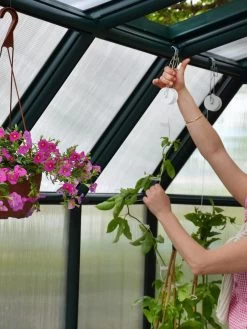 Canopia® By Palram Hobby Gardener Greenhouse, 8' -Plant Care Shop 8599331 04V tif