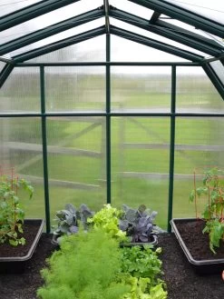 Canopia® By Palram Hobby Gardener Greenhouse, 8' -Plant Care Shop 8599331 05V tif