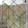 Achla Designs Freestanding Lattice Trellis 2 Achla Designs Freestanding Lattice Trellis -Plant Care Shop 8599475 01V tif