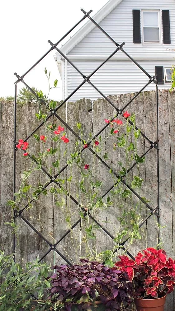 Achla Designs Freestanding Lattice Trellis 3 Achla Designs Freestanding Lattice Trellis