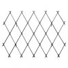 Achla Designs Wall-Mounted Lattice Trellis -Plant Care Shop 8599490 01V tif