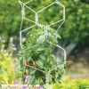 Gardener's Vertex Lifetime Pepper And Eggplant Cage 2 Gardener's Vertex Lifetime Pepper And Eggplant Cage -Plant Care Shop 8599554 3000 tif