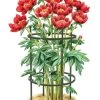 Titan Peony Supports, Medium, Set Of 2 1 Titan Peony Supports, Medium, Set Of 2 -Plant Care Shop 8599858 0001 art tif