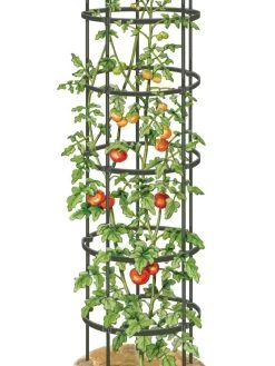 Titan Tall Tomato Cages, Set Of 3 11 Titan Tall Tomato Cages, Set Of 3 -Plant Care Shop 8599860 0002 art tif