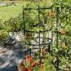 Titan Tomato Cages, Set Of 3 2 Titan Tomato Cages, Set Of 3 -Plant Care Shop 8599861 0049 tif