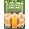 Brulee Butternut Squash Organic Seeds -Plant Care Shop 8599867 02v brulee butternut squash organic seeds
