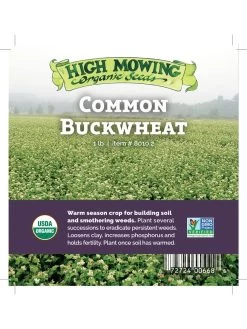 Common Buckwheat Organic Seeds 9 Common Buckwheat Organic Seeds -Plant Care Shop 8599871 04v