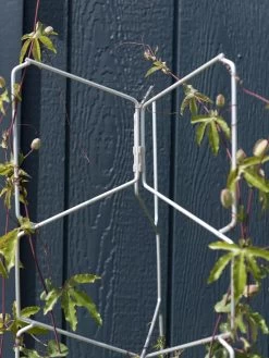 Featured Products -Plant Care Shop 8599997 0052 tif