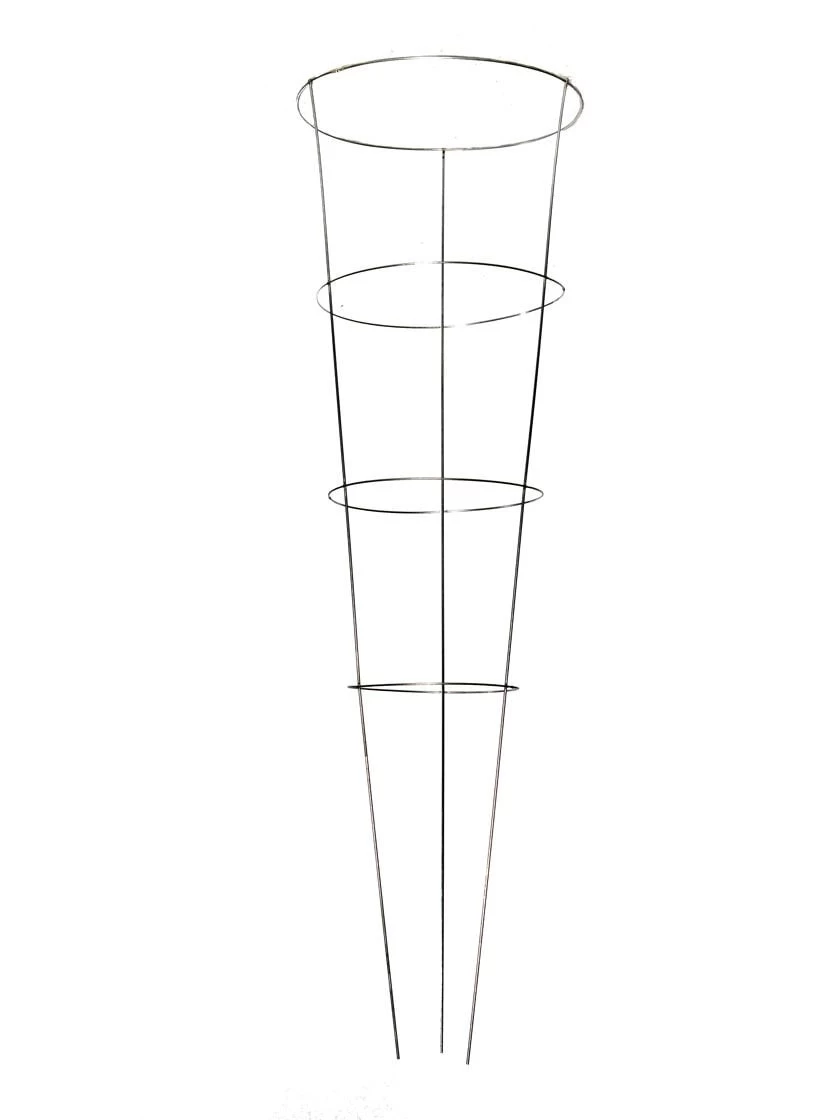 Heavy-Duty Plant Supports 54", Set Of 5 3 Heavy-Duty Plant Supports 54", Set Of 5