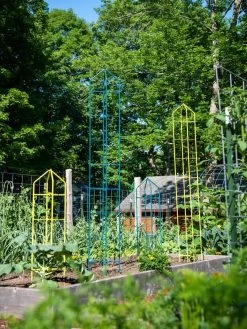 Zenith Folding Garden Supports, Set Of 2 15 Zenith Folding Garden Supports, Set Of 2 -Plant Care Shop 8600072 0449 tif