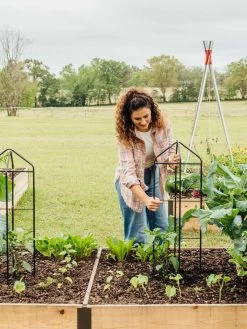 Zenith Folding Garden Supports, Set Of 2 17 Zenith Folding Garden Supports, Set Of 2 -Plant Care Shop 8600073 324 tif